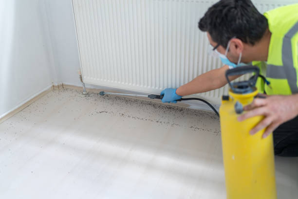 Trusted Stockbridge, MI Pest Control Experts