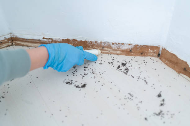Best Residential Pest Control  in Stockbridge, MI